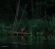 &bdquo;Stovintis vanduo&ldquo; (rež. Dagnė Gumbrevičiūtė)