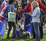 Tūkstantis &scaron;unų su &scaron;eimininkais Londone protestavo prie&scaron; &bdquo;Brexit&ldquo;