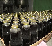 Obuolių supirkimo įmonėje &bdquo;Vaiskona&ldquo;