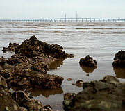 Kinija atidarė 55 km ilgio tiltą