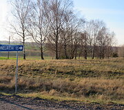 Duonelaičiai