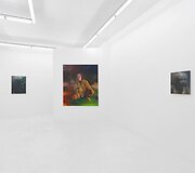 Lietuvių tapytojos Rūtenės Merk pirmoji personalinė paroda &bdquo;Sprites&ldquo; Niujorko galerijoje &bdquo;Downs & Ross&ldquo;