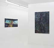 Lietuvių tapytojos Rūtenės Merk pirmoji personalinė paroda &bdquo;Sprites&ldquo; Niujorko galerijoje &bdquo;Downs & Ross&ldquo;