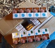 Sulaikytos kontrabandinės cigaretės
