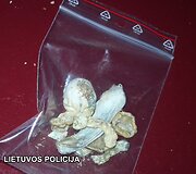 Sulaikyti įkalčiai
