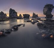 &bdquo;Naujosios Zelandijos pakrantė&ldquo; &ndash; Sergey Aleshchenko nuotrauka