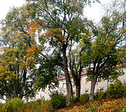 Vienuolynas Palėvenėje