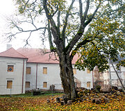 Vienuolynas Palėvenėje