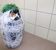 I&scaron; Nemuno i&scaron;trauktas gintaras