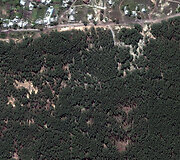 &bdquo;Maxar&ldquo; palydovu užfiksuota vieta, kur rasta masinė kapavietė 2022 m. rugpjūčio 29 d.
