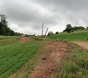 Pasvirę elektros stulpai Rusakalnio kaime