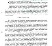 Ataskaitos puslapis