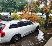 Didžiulė liūtis skandino Minską