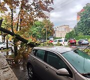 Didžiulė liūtis skandino Minską