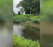 Žiežmarių gyventojas užfiksavo galimą tar&scaron;ą