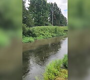 Žiežmarių gyventojas užfiksavo galimą tar&scaron;ą