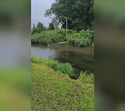 Žiežmarių gyventojas užfiksavo galimą tar&scaron;ą