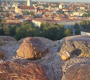 Žymėtos sraigės