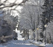 Baltu &scaron;erk&scaron;nu pasidengusi Nida