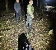 Aduti&scaron;kio mi&scaron;ke sučiupti kontrabandininkai