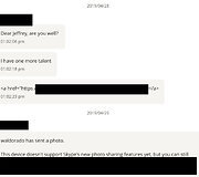 V.Petreikio žinutė J.Epsteinui