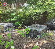 Teisėsaugos operacija &Scaron;alčininkuose