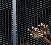 Nelegalūs imigrantai i&scaron; Banglade&scaron;o ir Mianmaro