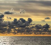 Vakaras Palangoje - Arnoldas Belozaravičius