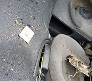 &bdquo;Peugeot&ldquo; avarija Lumpėnuose