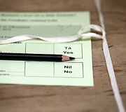 Airijoje istorinis referendumas dėl tos pačios lyties santuokų