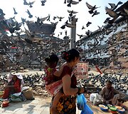 Balandžiai skrendantys žemės drebėjimo apgriautoje Durbaro aik&scaron;tėje Nepalo sostinėje