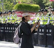 Ūkininkas su ryžių daigų kepure proteste Pietų Korėjoje