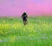 Karys per jungtines Gruzijos ir JAV karines pratybas netoli Tbilisio