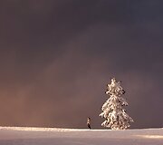 Nepaprasti fotografės autoportretai įstabiuose gamtos peizažuose