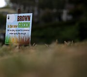Kalifornijoje taupant vandenį dažoma nudžiuvusi žolė 