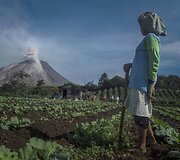 Prabudęs Sinabungo ugnikalnis Indonezijoje