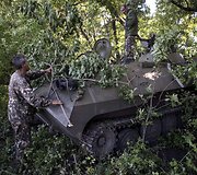 Ukrainos kariai Donecko regione