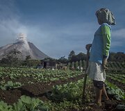 Moteris žvelgia į prabudusį ugnikanį Indonezijoje