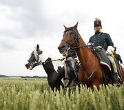 Vaterlo mū&scaron;io inscenizacija Belgijoje