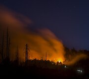 Gaisras Shasta-Trinity nacionaliniame mi&scaron;ke Kaliforinijoje