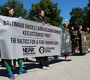 Didžiausia Baltijos &scaron;alių demonstracija prie&scaron; kailinių žvėrelių fermas