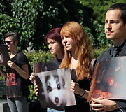 Didžiausia Baltijos &scaron;alių demonstracija prie&scaron; kailinių žvėrelių fermas