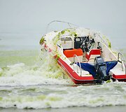 Potvynio vandens į Kinijos pakrantę i&scaron;mestas nepaprastai didelis kiekis dumblių