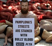 PETA protestas prie&scaron; koridą