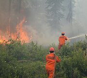 Mi&scaron;ko gaisrai Kanadoje