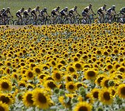 Tour de France dviračių lenktynės