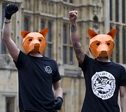 Protestas, reikalaujantis palikti galioti lapių medžioklės draudimą Londone