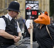 Protestas, reikalaujantis palikti galioti lapių medžioklės draudimą Londone
