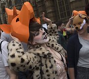 Protestas, reikalaujantis palikti galioti lapių medžioklės draudimą Londone