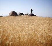 Tradicinė avininkystė Portugalijoje